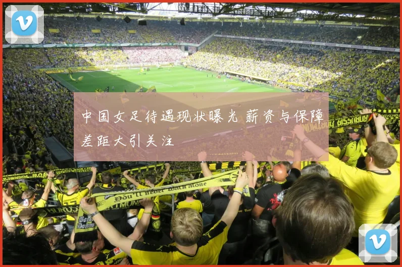 中国女足待遇现状曝光 薪资与保障差距大引关注