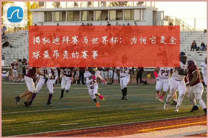 揭秘迪拜赛马世界杯:为何它是全球最昂贵的赛事