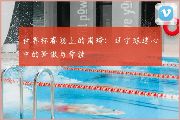 世界杯赛场上的周琦：辽宁球迷心中的骄傲与牵挂