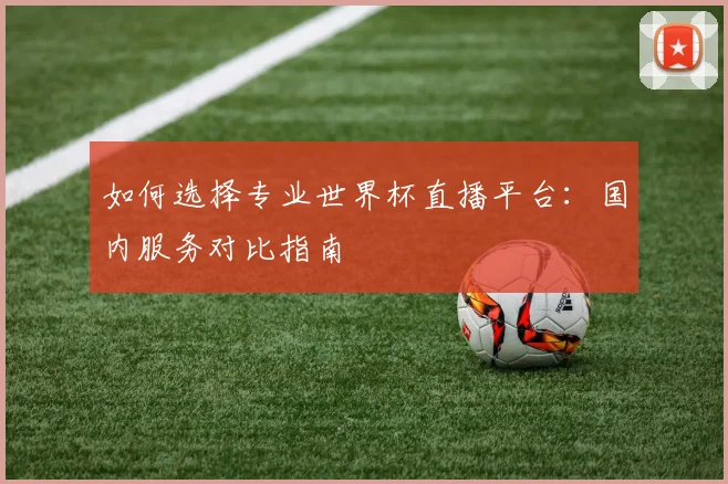 如何选择专业世界杯直播平台：国内服务对比指南